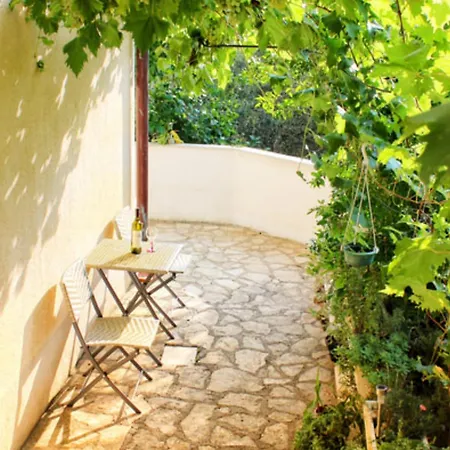 Maslina-olive * Podgora (Split-Dalmatia)